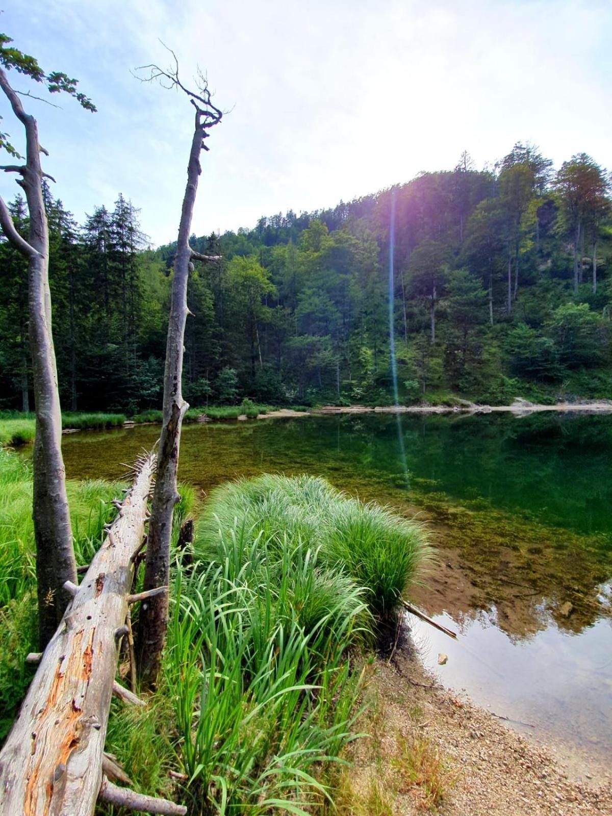 Appartamento Haus Fuesslmuehle Fuschl am See Esterno foto